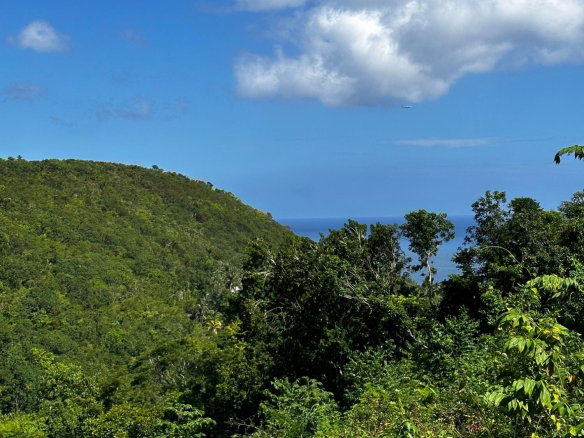 First image of 204 Spring Garden in Reading, St. James, Jamaica - property is For Sale