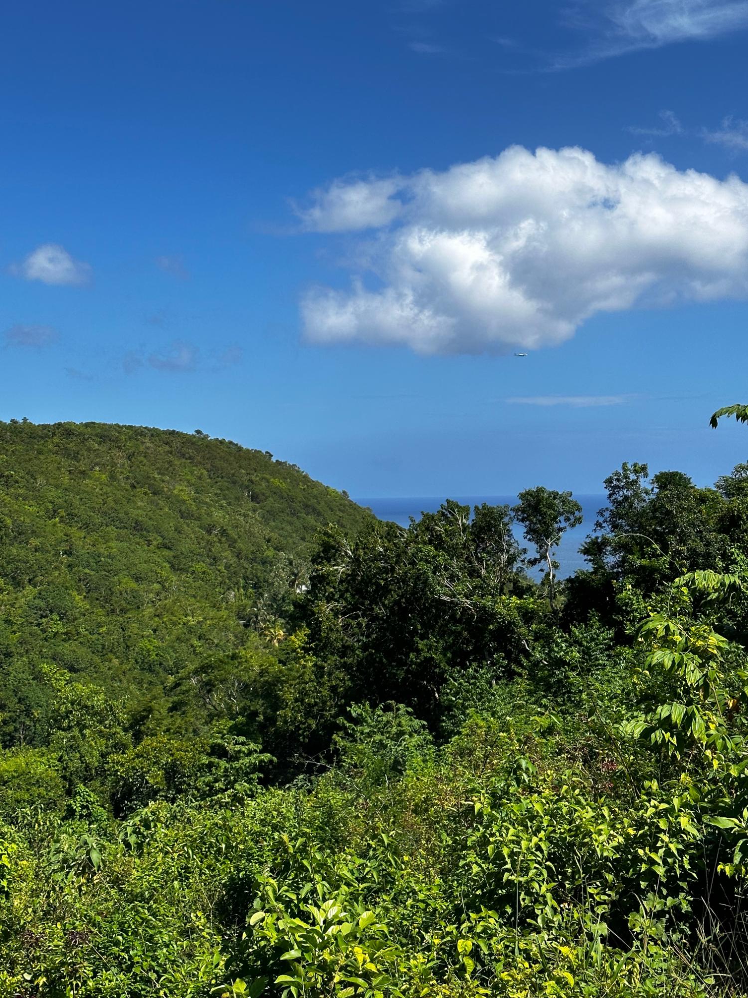 First image of 204 Spring Garden in Reading, St. James, Jamaica - property is For Sale