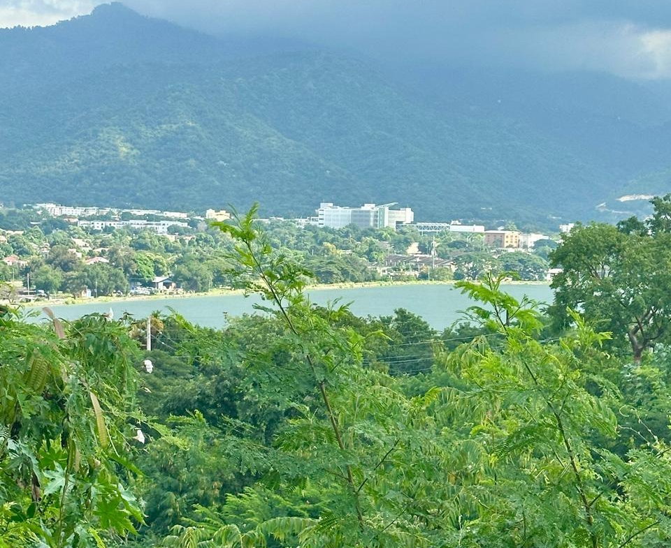 Fourth image of Lot 17 Lignum Vitae Drive in PAPINE, St. Andrew, Jamaica - property is For Sale