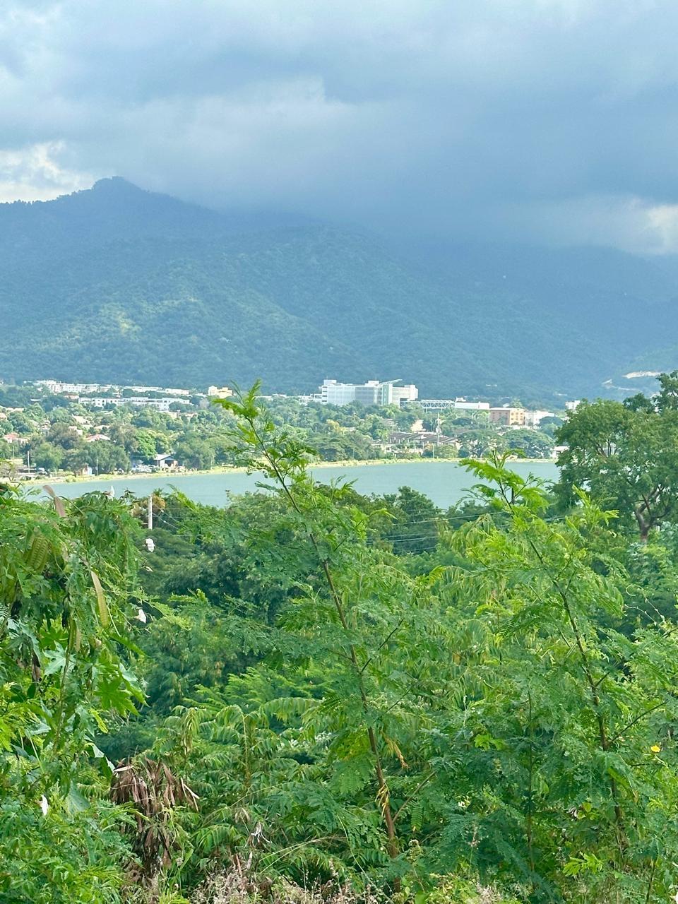 Fourth image of Lot 17 Lignum Vitae Drive in PAPINE, St. Andrew, Jamaica - property is For Sale