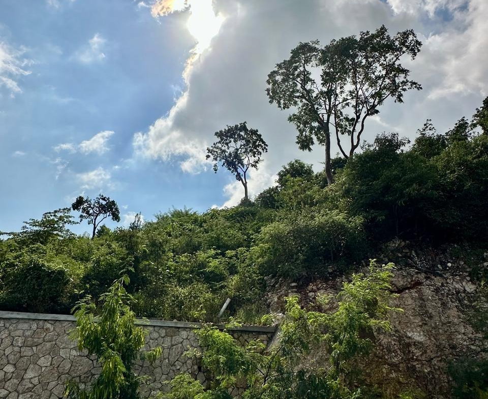 Fifth image of Lot 17 Lignum Vitae Drive in PAPINE, St. Andrew, Jamaica - property is For Sale