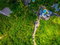 First image of Lot 17 Lignum Vitae Drive in PAPINE, St. Andrew, Jamaica - property is For Sale