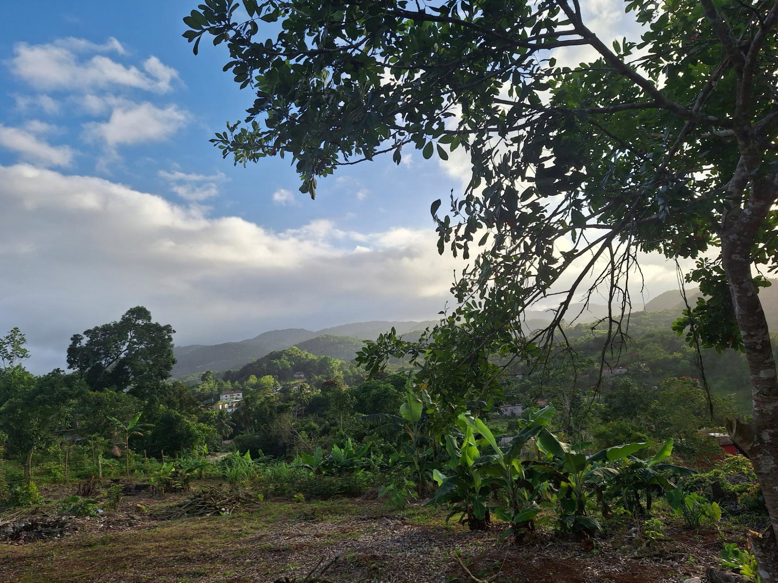 Third image of James Street in GOLDEN GROVE, St. Ann, Jamaica - property is For Sale