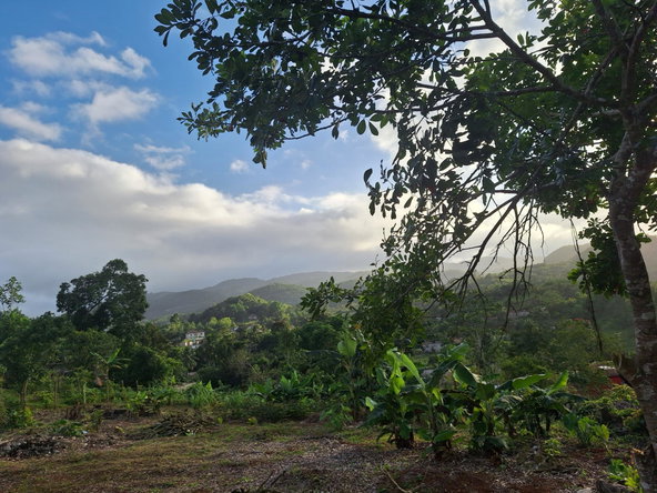 Third image of James Street in GOLDEN GROVE, St. Ann, Jamaica - property is For Sale