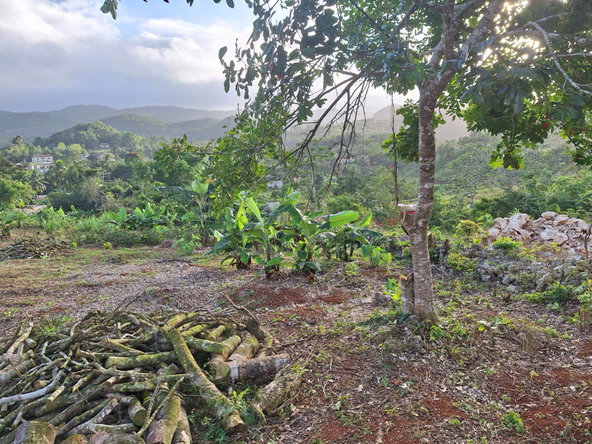 Fourth image of James Street in GOLDEN GROVE, St. Ann, Jamaica - property is For Sale