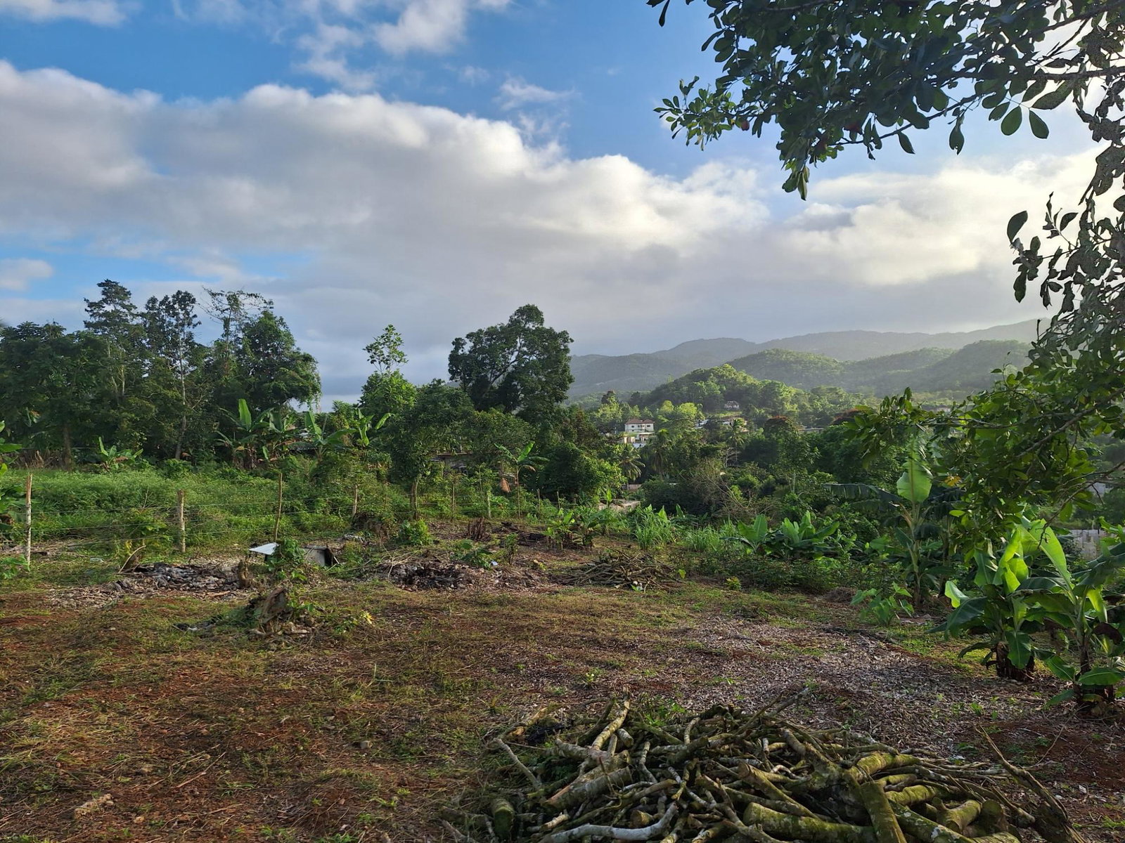 Fifth image of James Street in GOLDEN GROVE, St. Ann, Jamaica - property is For Sale