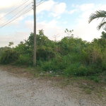 First image of 6 Woodland Rise in Red Hills, St. Andrew, Jamaica - property is For Sale