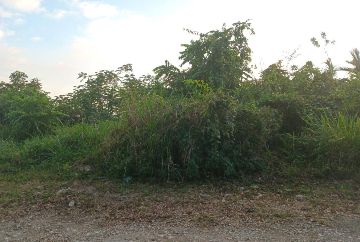 Third image of 6 Woodland Rise in Red Hills, St. Andrew, Jamaica - property is For Sale