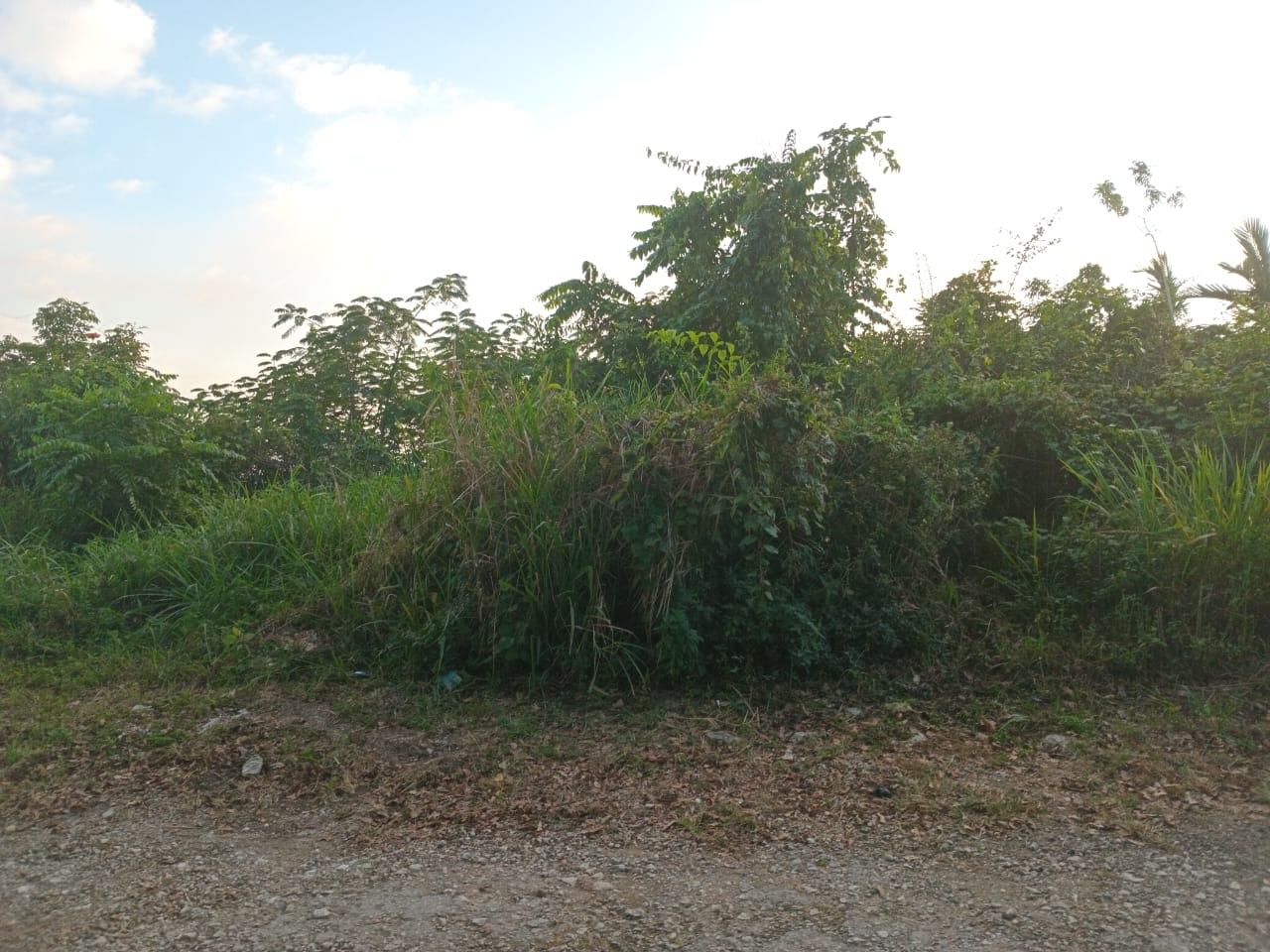 Stunning-Residential-Lot-for-Sale-with-180°-Kingston-Harbour-Views Third image of 6 Woodland Rise in Red Hills, St. Andrew, Jamaica - property is For Sale