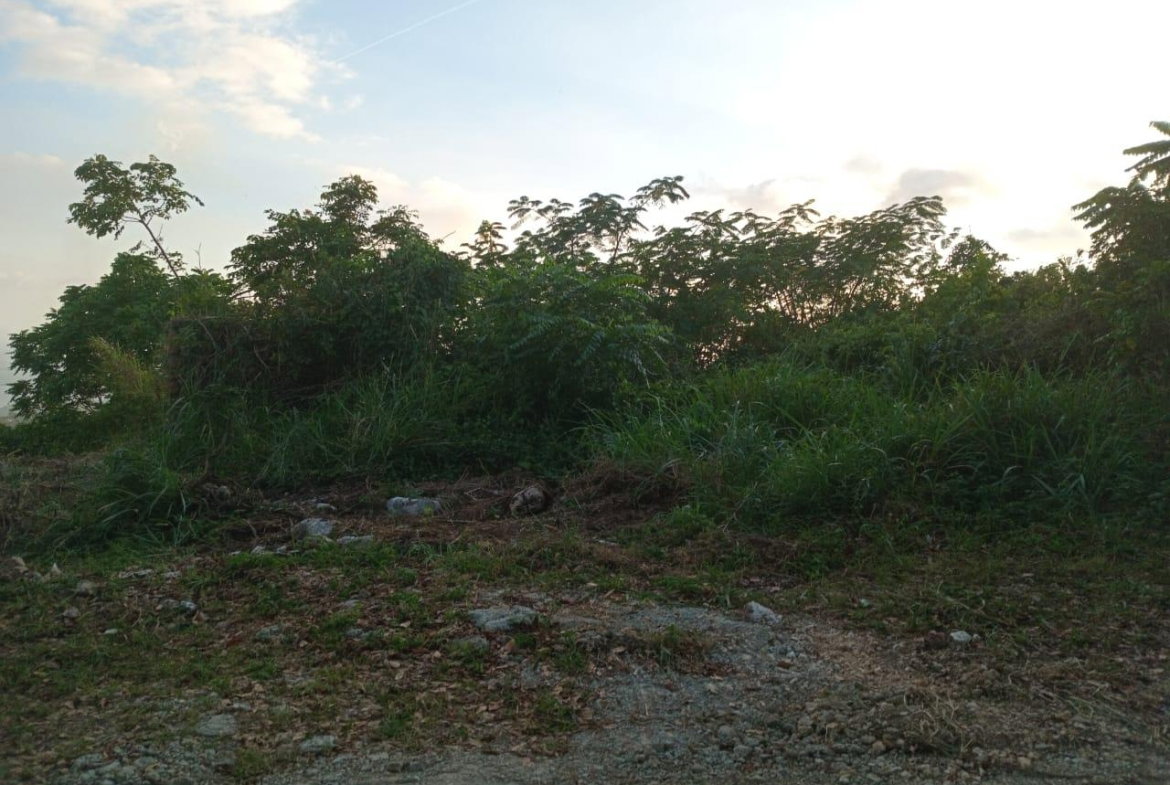 Fourth image of 6 Woodland Rise in Red Hills, St. Andrew, Jamaica - property is For Sale