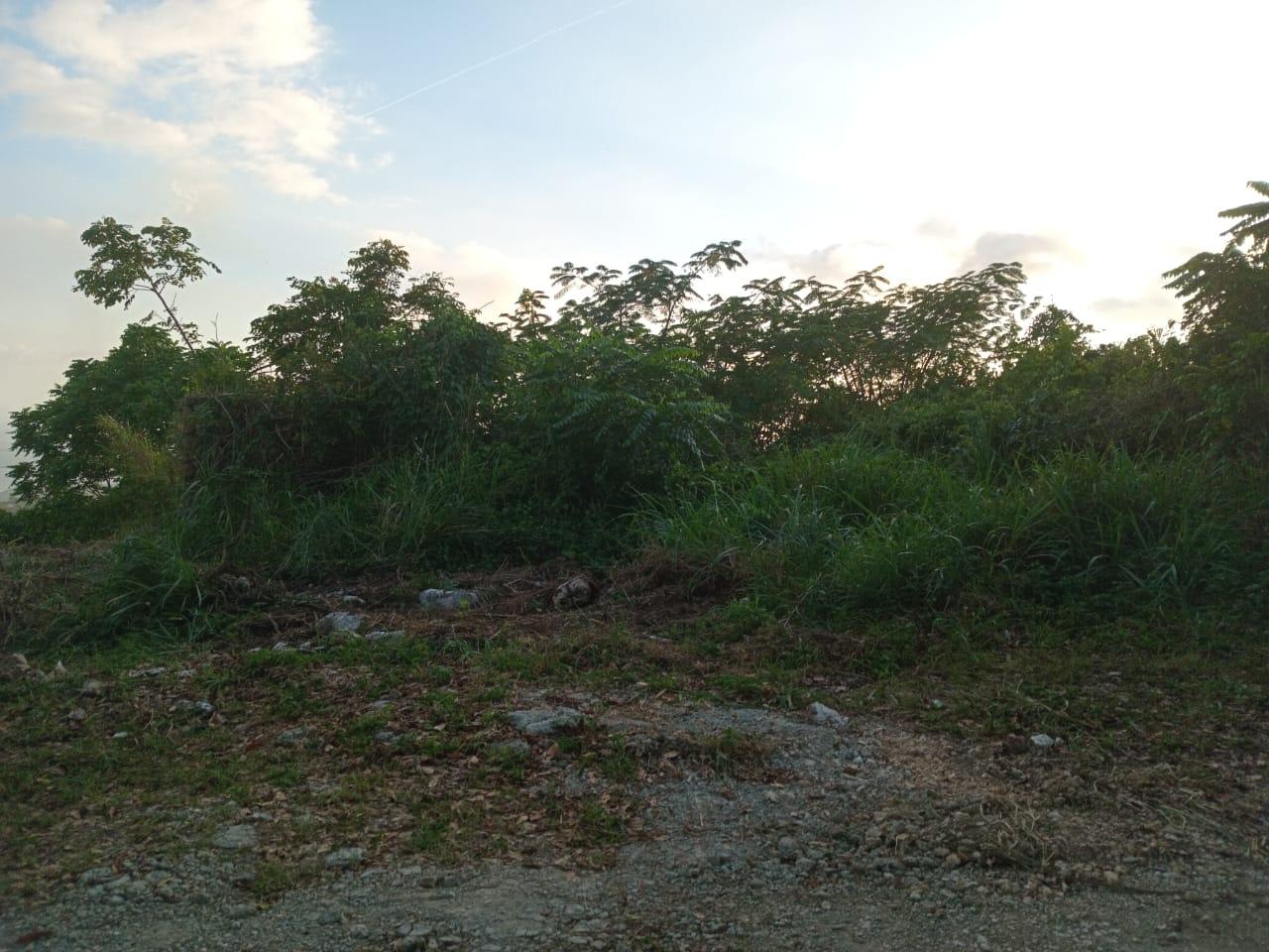 Stunning-Residential-Lot-for-Sale-with-180°-Kingston-Harbour-Views Fourth image of 6 Woodland Rise in Red Hills, St. Andrew, Jamaica - property is For Sale
