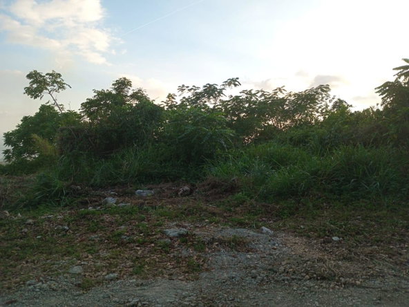 Fourth image of 6 Woodland Rise in Red Hills, St. Andrew, Jamaica - property is For Sale