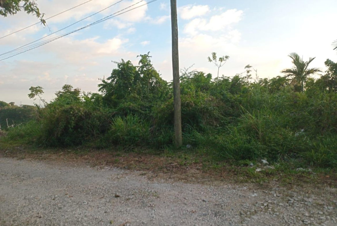 Fifth image of 6 Woodland Rise in Red Hills, St. Andrew, Jamaica - property is For Sale