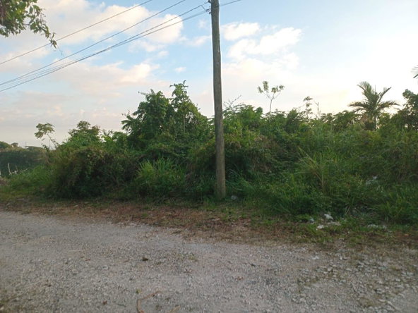 Fifth image of 6 Woodland Rise in Red Hills, St. Andrew, Jamaica - property is For Sale