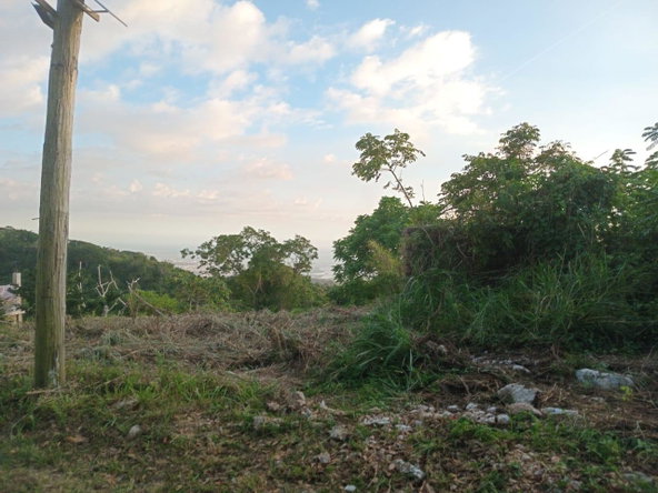 Sixth image of 6 Woodland Rise in Red Hills, St. Andrew, Jamaica - property is For Sale