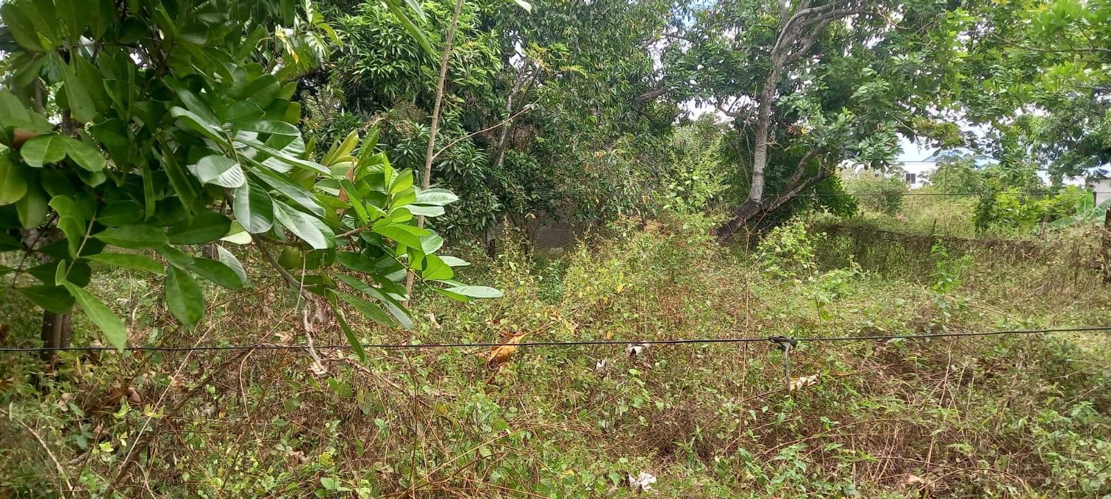 Twelfth image of 2 Paisley Drive, Paisley es in May Pen, Clarendon, Jamaica - property is For Sale