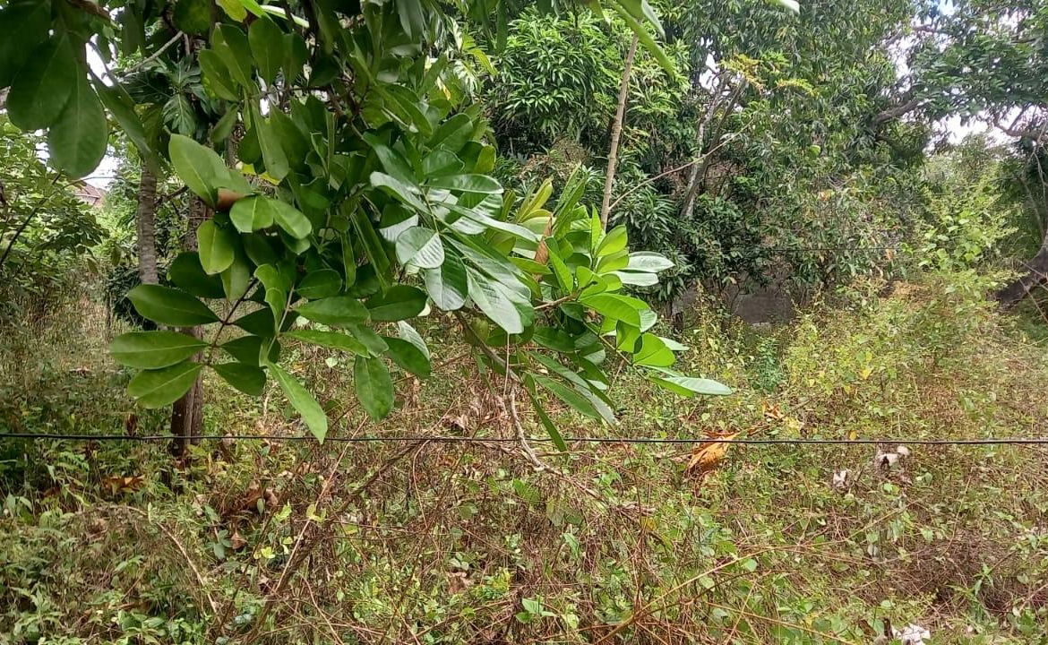 Thirteenth image of 2 Paisley Drive, Paisley es in May Pen, Clarendon, Jamaica - property is For Sale