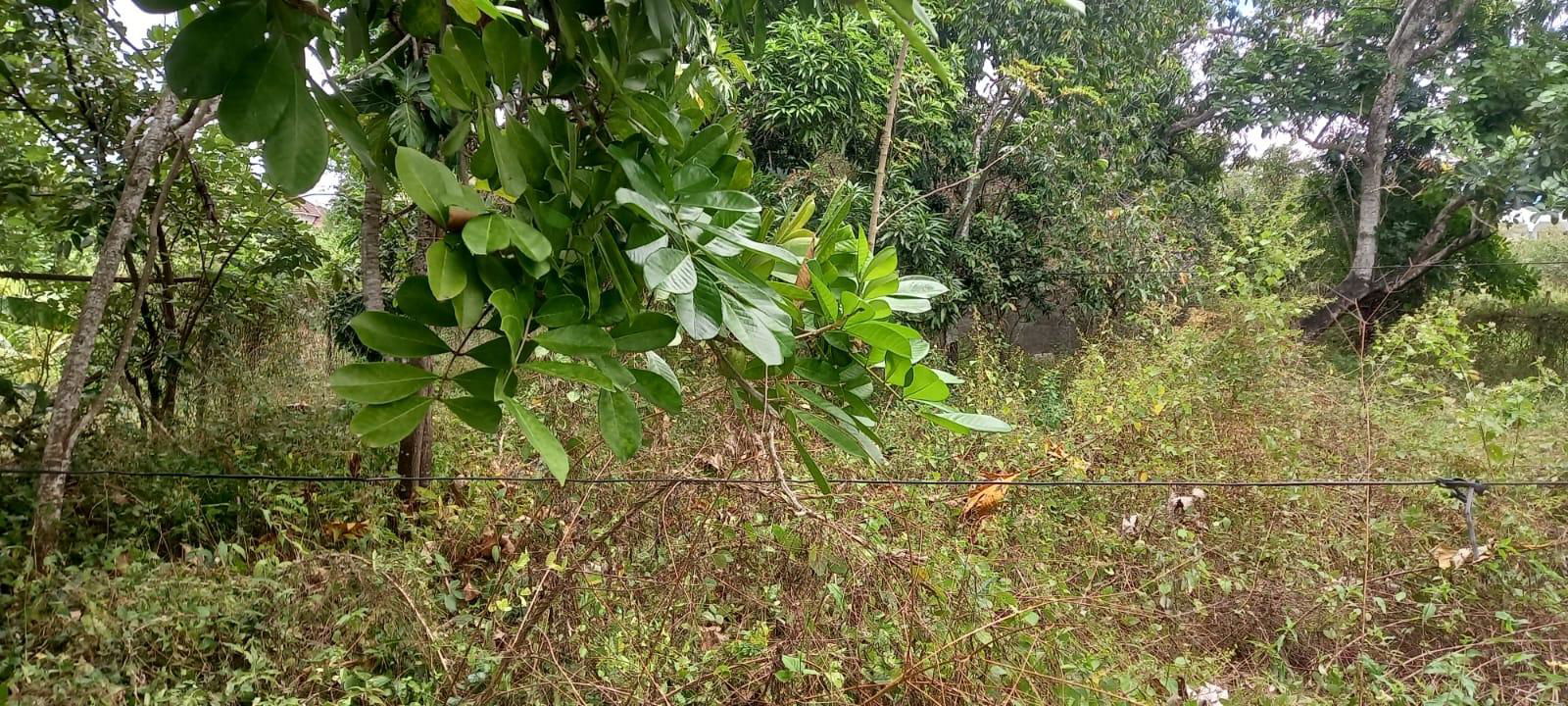 Thirteenth image of 2 Paisley Drive, Paisley es in May Pen, Clarendon, Jamaica - property is For Sale