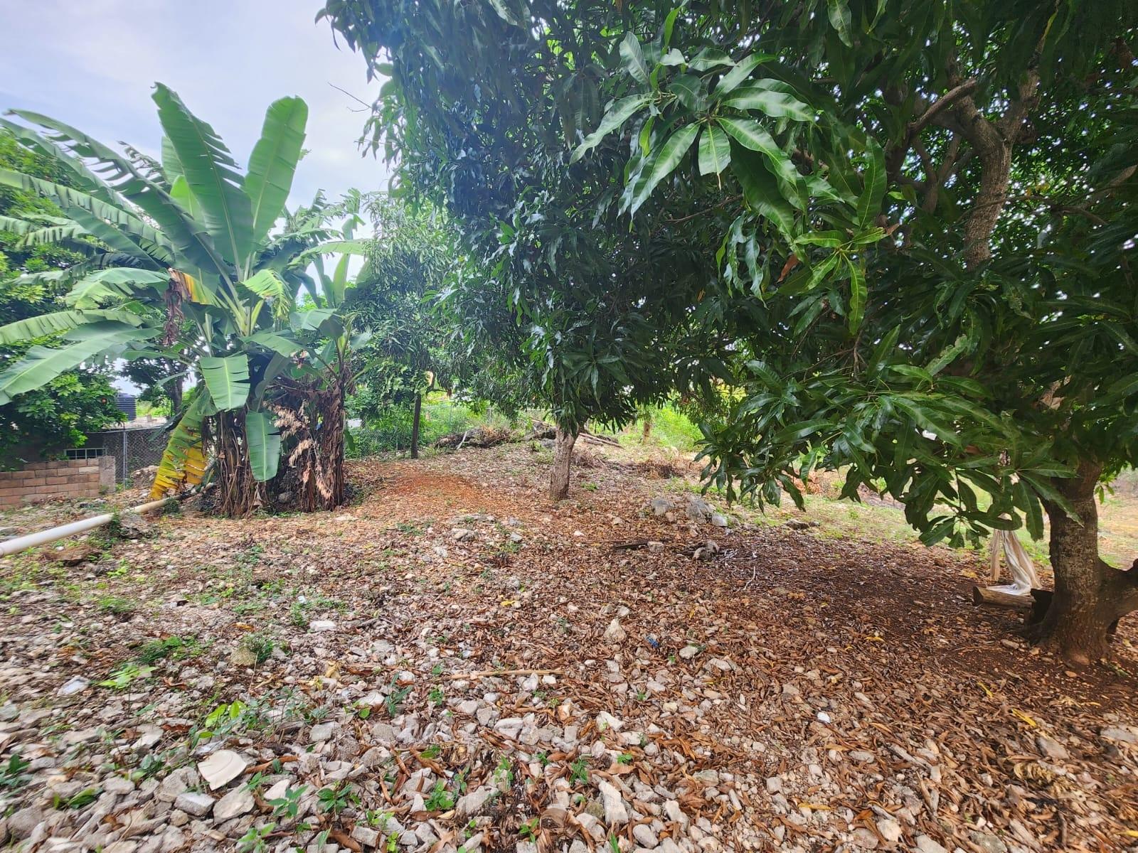 Sixteenth image of 543 Northern Estates, Lillipu in Montego Bay, St. James, Jamaica - property is For Sale