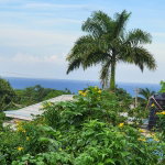 First image of 543 Northern Estates, Lillipu in Montego Bay, St. James, Jamaica - property is For Sale