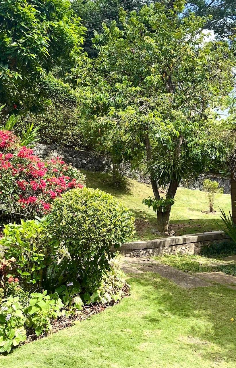 Eighth image of Irish Town in Kingston 6, St. Andrew, Jamaica - property is For Sale