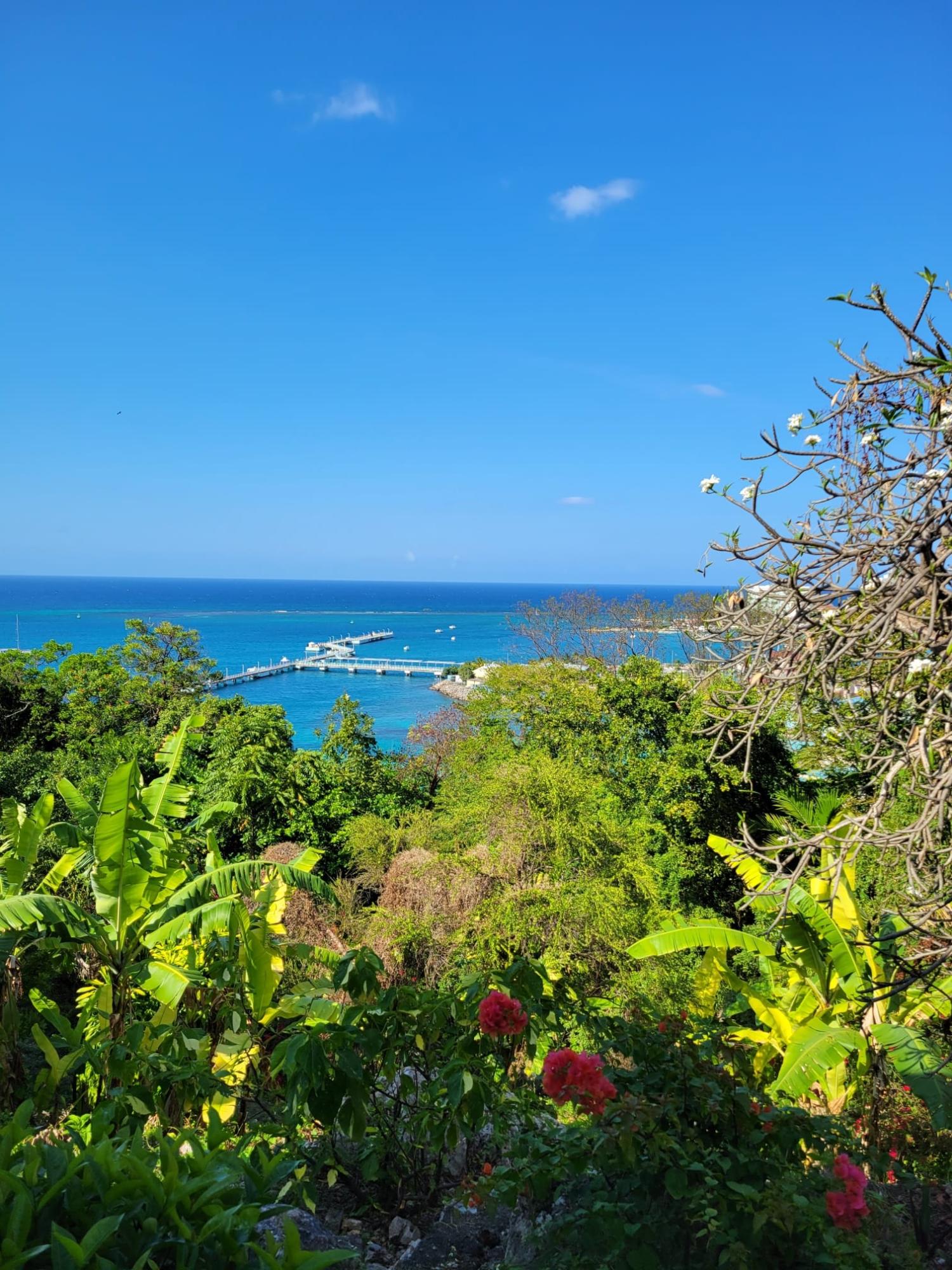 Thirteenth image of D2- Columbus Heights in Ocho Rios, St. Ann, Jamaica - property is For Rent