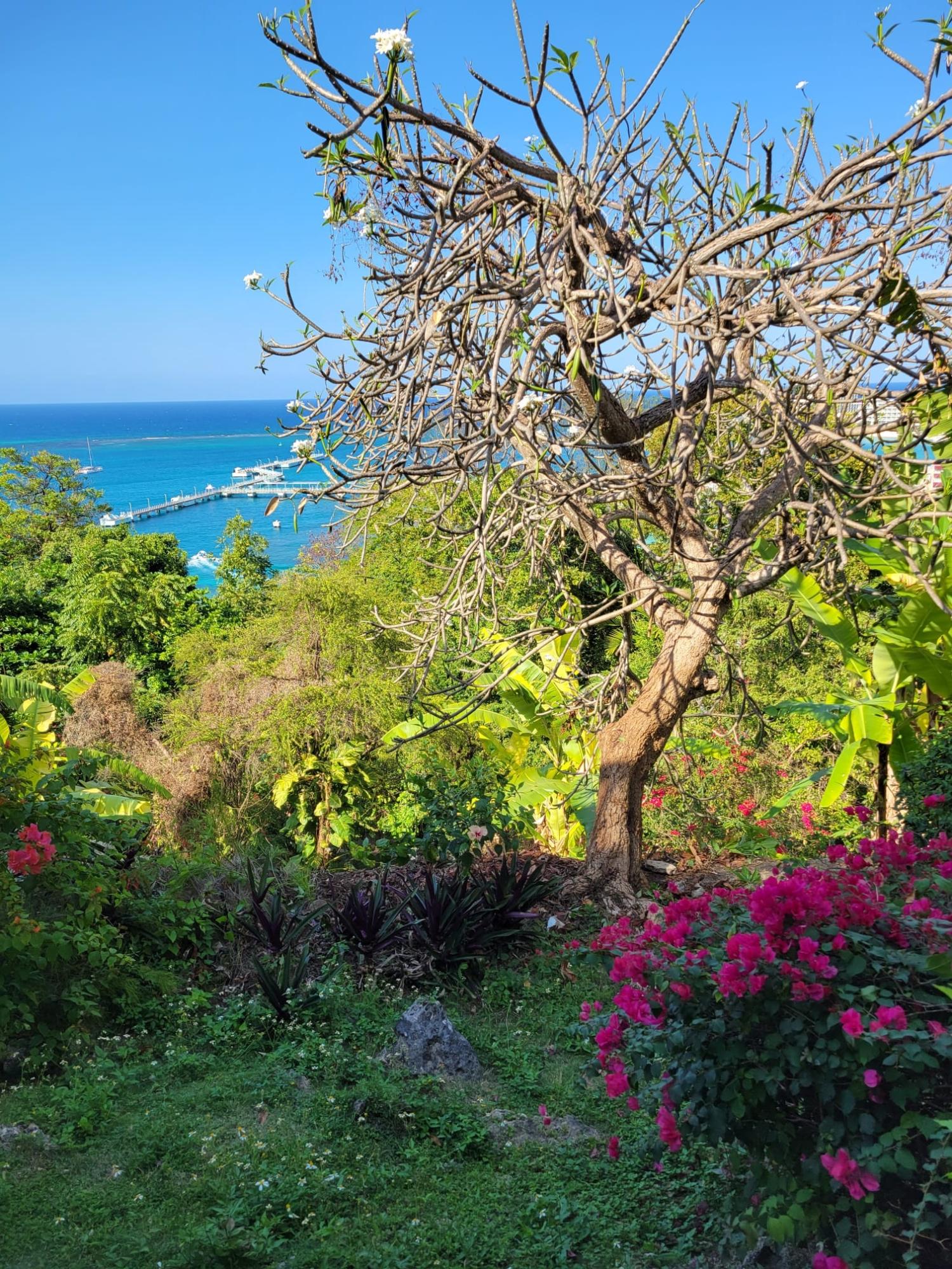 Fourteenth image of D2- Columbus Heights in Ocho Rios, St. Ann, Jamaica - property is For Rent