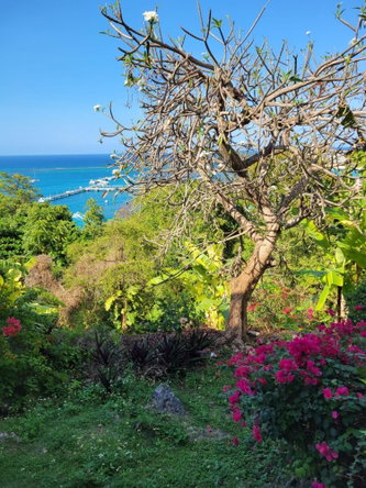 Fourteenth image of D2- Columbus Heights in Ocho Rios, St. Ann, Jamaica - property is For Rent