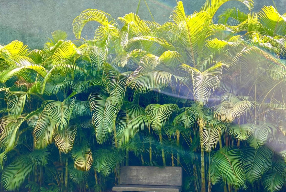 Seventeenth image of 13-238 Mannings Hill Road in Stony Hill P.O., St. Andrew, Jamaica - property is For Rent