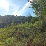 First image of Lillyfield in Bamboo, St. Ann, Jamaica - property is For Sale