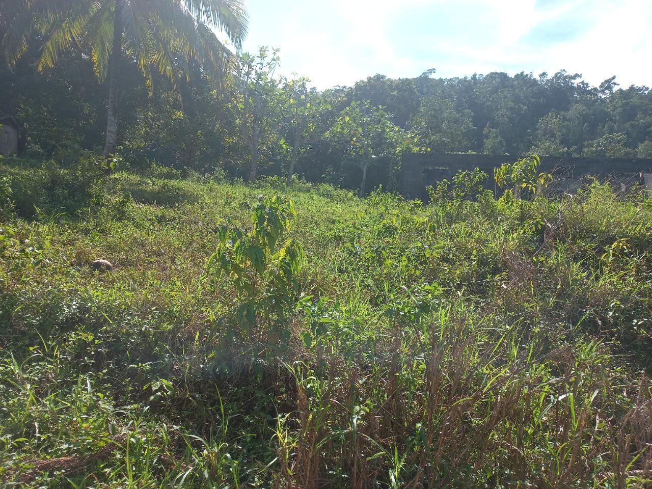 Unfinished-3-Bedroom-House-for-Sale-in-Lilyfield-St.-Ann-4.35-Acres Third image of Lillyfield in Bamboo, St. Ann, Jamaica - property is For Sale