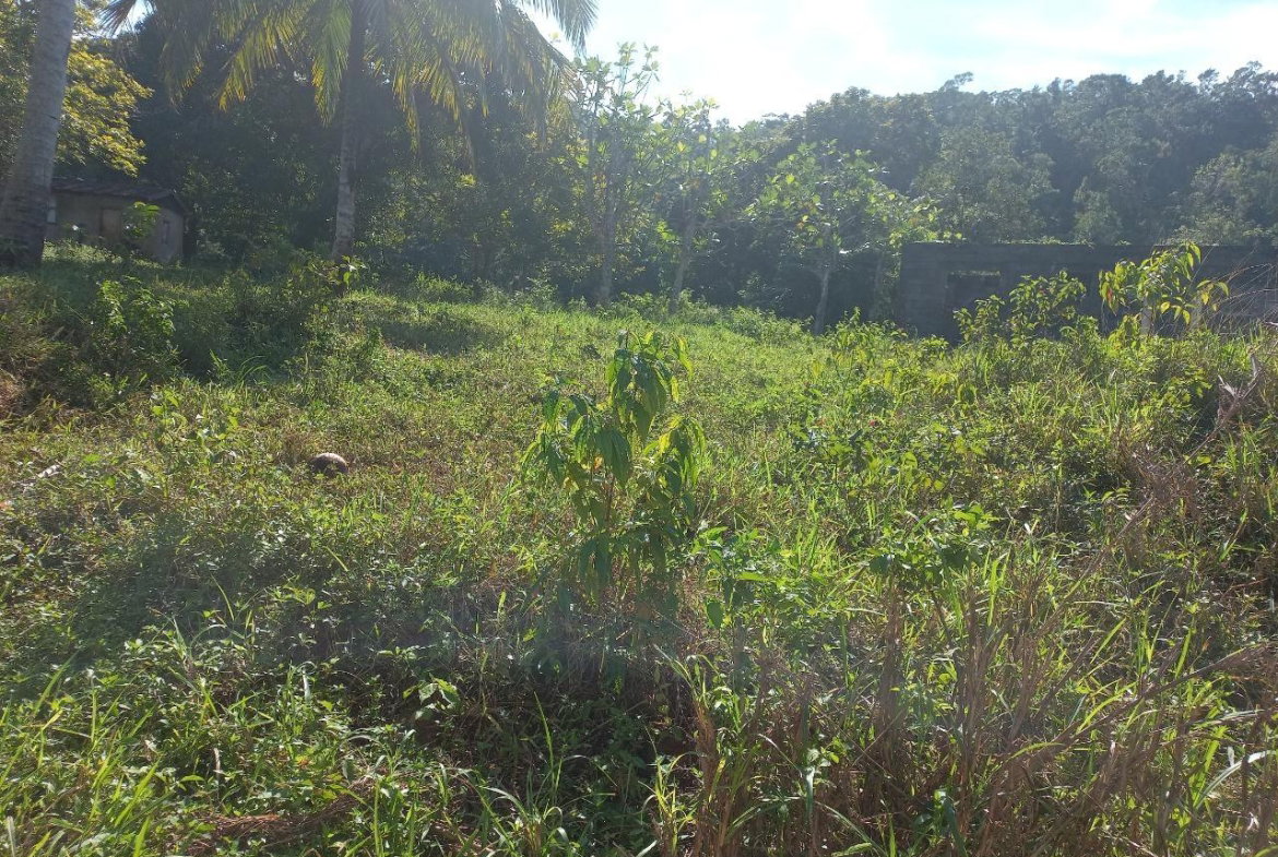 Fourth image of Lillyfield in Bamboo, St. Ann, Jamaica - property is For Sale