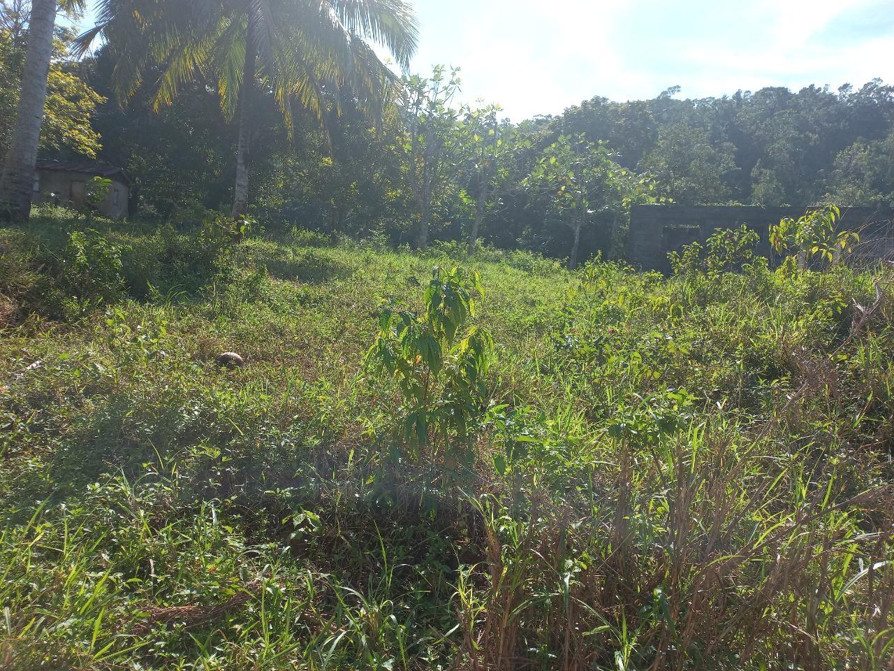 Unfinished-3-Bedroom-House-for-Sale-in-Lilyfield-St.-Ann-4.35-Acres Fourth image of Lillyfield in Bamboo, St. Ann, Jamaica - property is For Sale