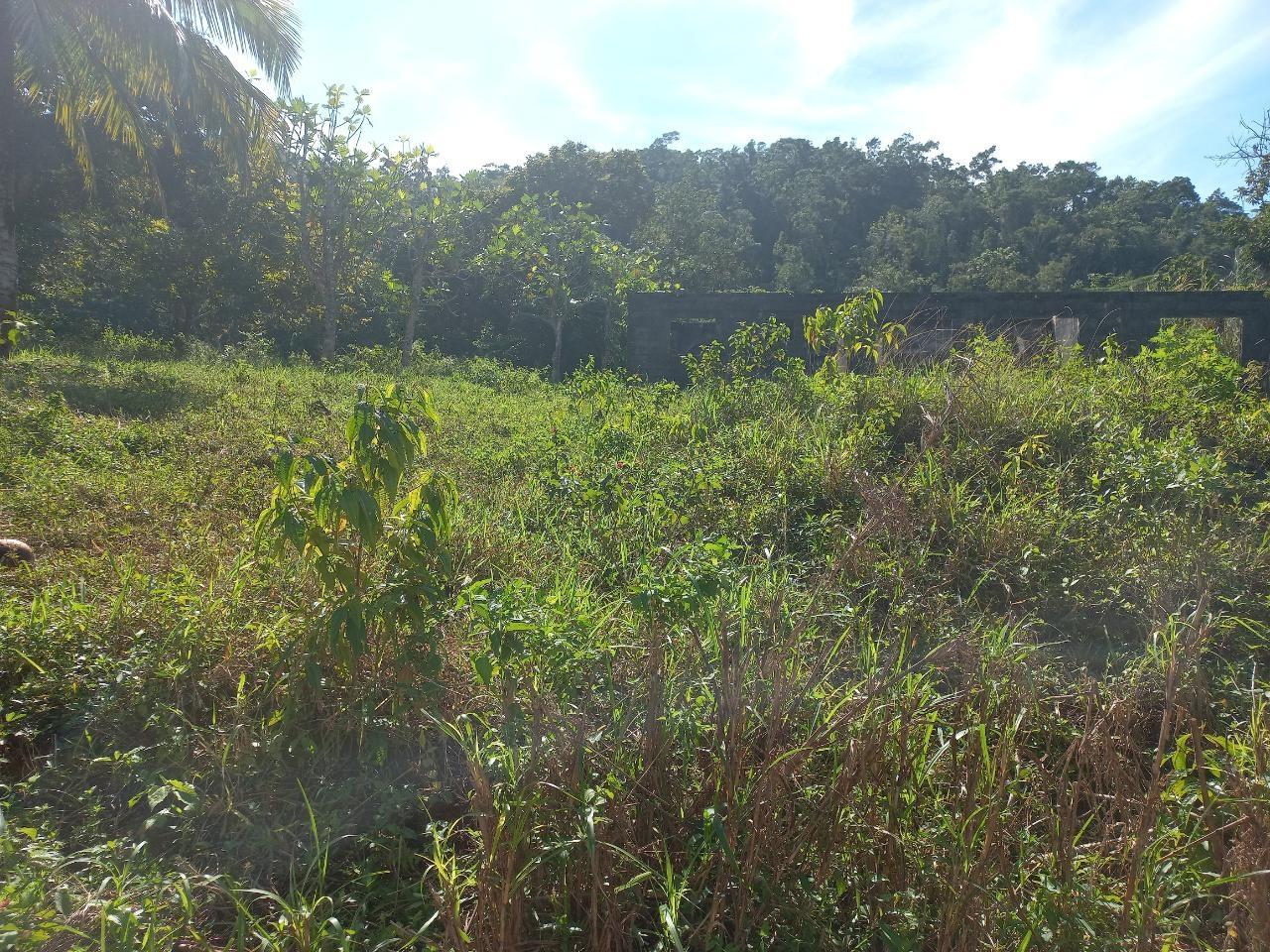 Unfinished-3-Bedroom-House-for-Sale-in-Lilyfield-St.-Ann-4.35-Acres Fifth image of Lillyfield in Bamboo, St. Ann, Jamaica - property is For Sale