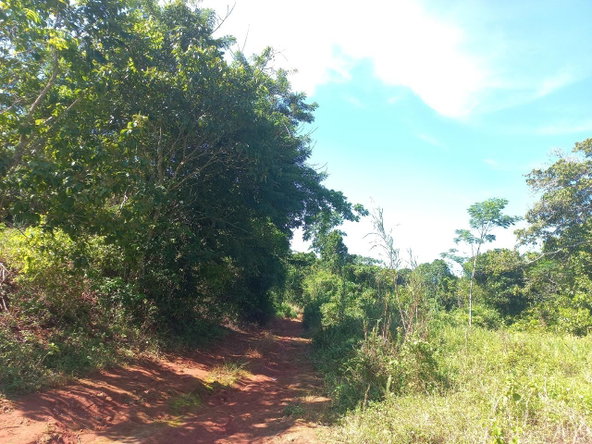 Sixth image of Lillyfield in Bamboo, St. Ann, Jamaica - property is For Sale