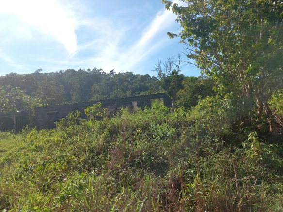 First image of Lillyfield in Bamboo, St. Ann, Jamaica - property is For Sale
