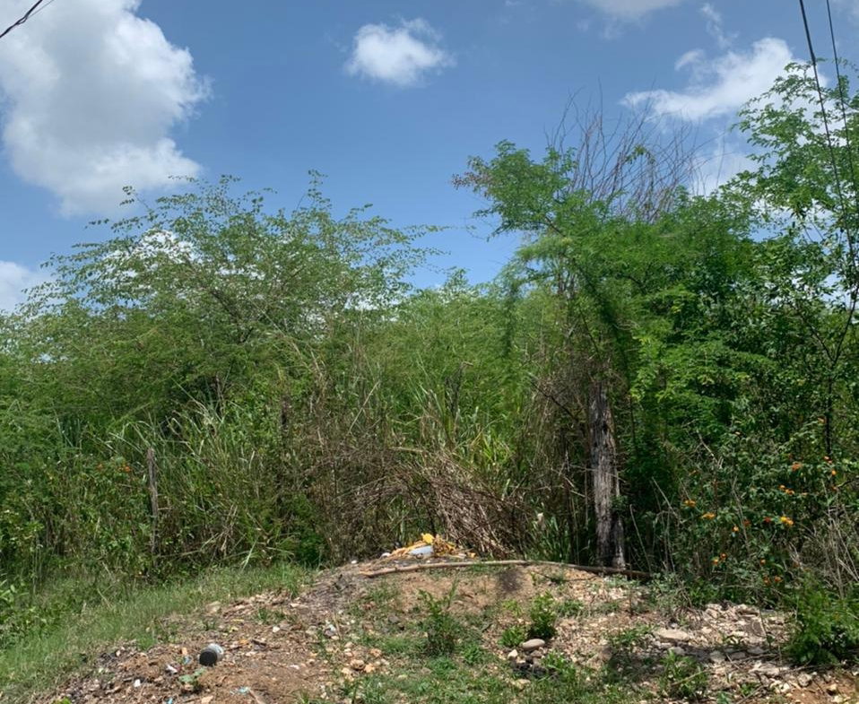 Fifth image of Lot 8-pt of Belle Plain Street in Osbourne Store, Clarendon, Jamaica - property is For Sale