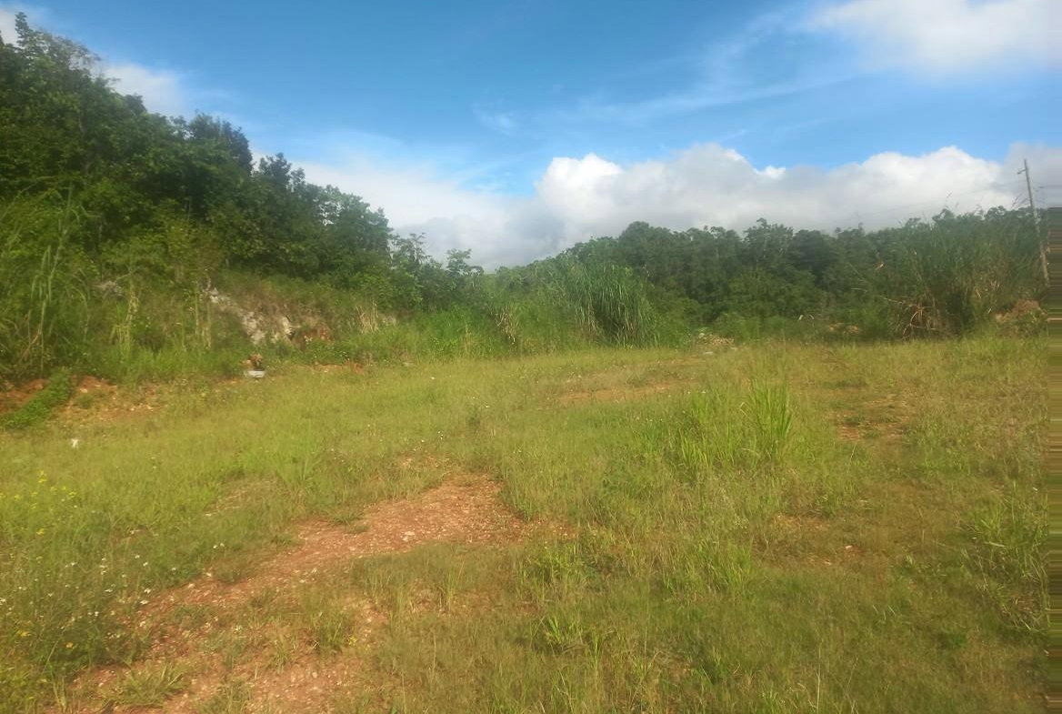 Second image of Lot #9 Hopeton Pen in Mandeville, Manchester, Jamaica - property is For Sale