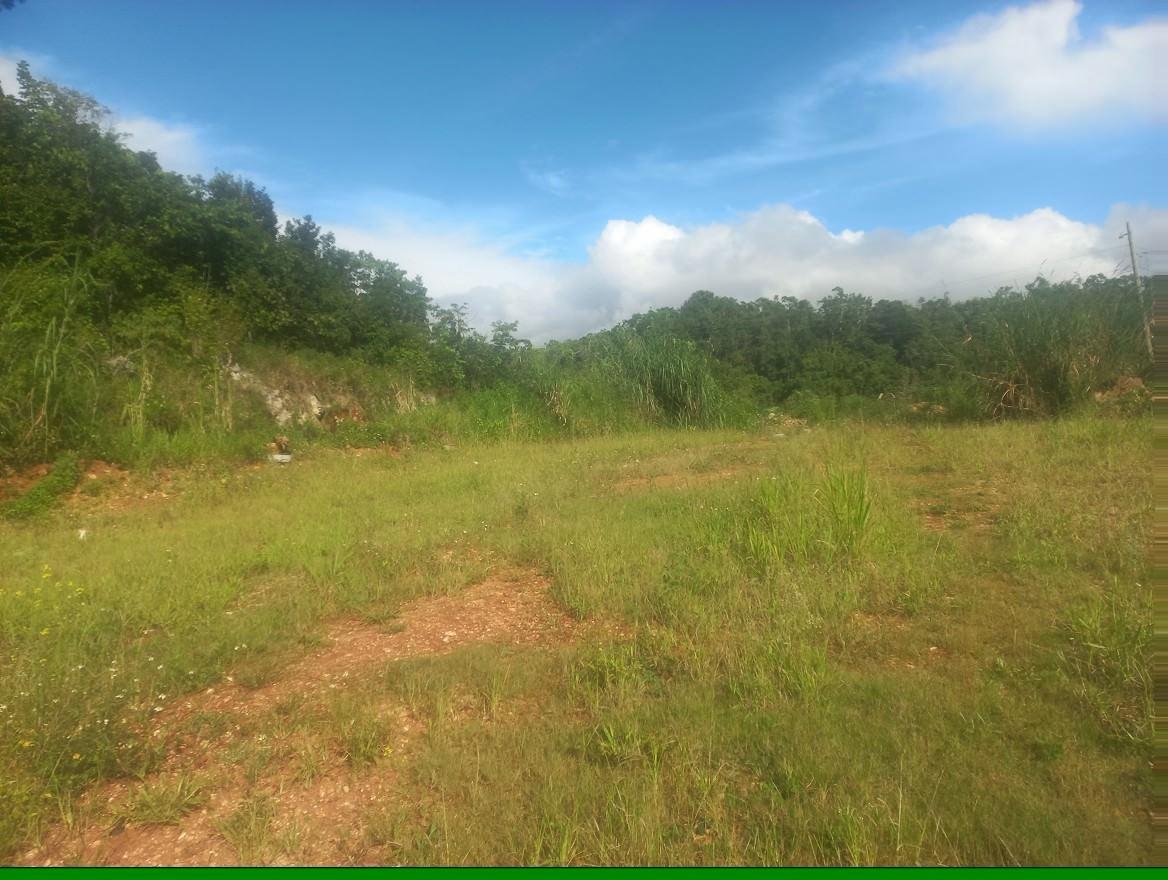 Second image of Lot #9 Hopeton Pen in Mandeville, Manchester, Jamaica - property is For Sale