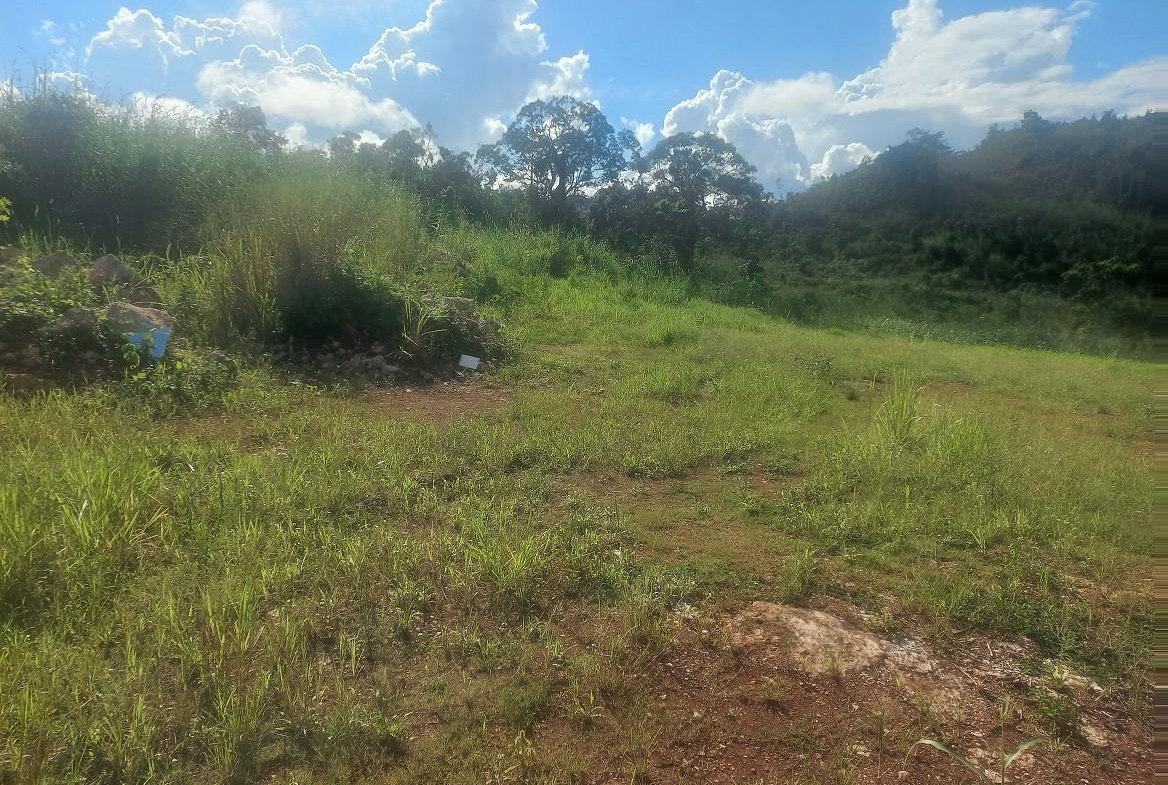 First image of Lot #9 Hopeton Pen in Mandeville, Manchester, Jamaica - property is For Sale