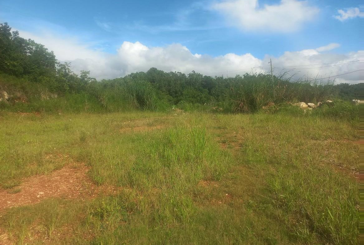 Third image of Lot #9 Hopeton Pen in Mandeville, Manchester, Jamaica - property is For Sale