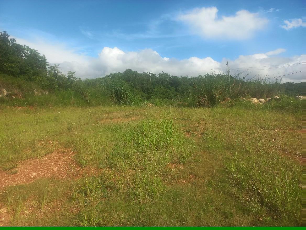 Third image of Lot #9 Hopeton Pen in Mandeville, Manchester, Jamaica - property is For Sale