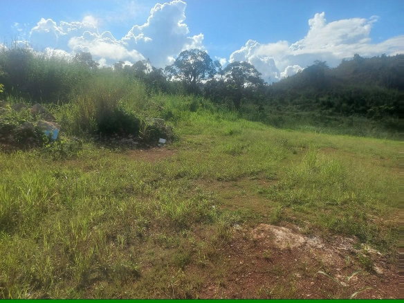 First image of Lot #9 Hopeton Pen in Mandeville, Manchester, Jamaica - property is For Sale