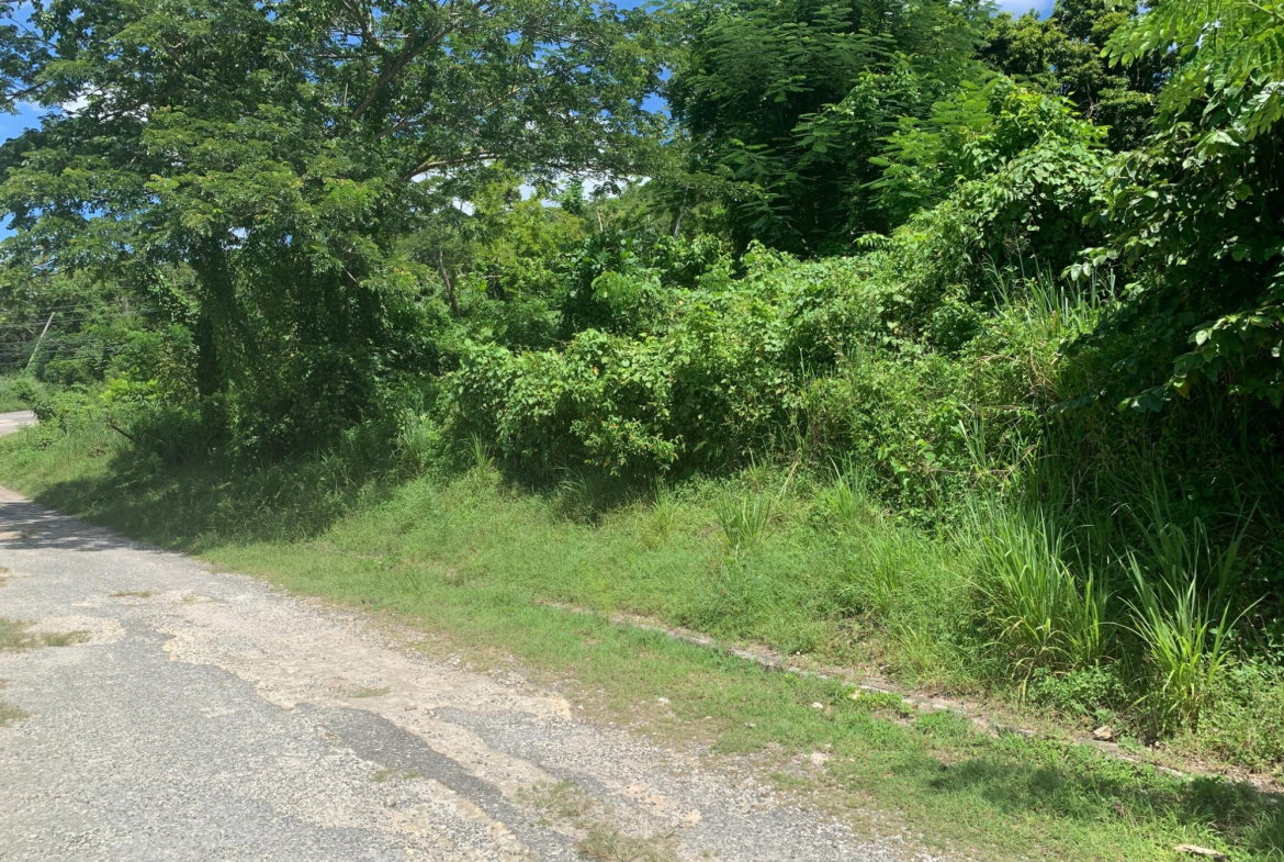 Eleventh image of 14 Irwin Sign Po. st James in Sign, St. James, Jamaica - property is For Sale