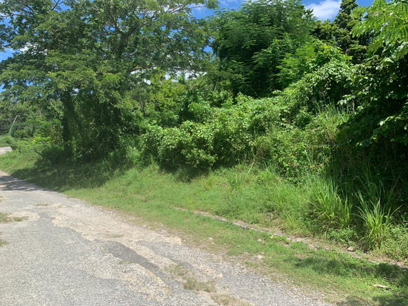 Eleventh image of 14 Irwin Sign Po. st James in Sign, St. James, Jamaica - property is For Sale