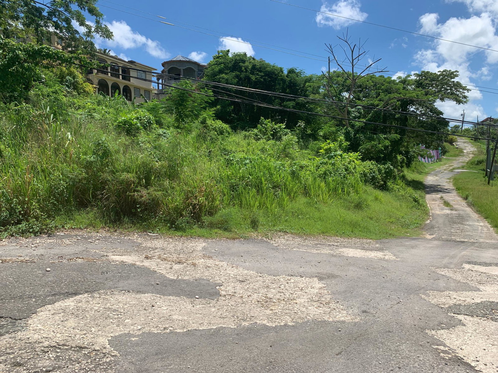 Twelfth image of 14 Irwin Sign Po. st James in Sign, St. James, Jamaica - property is For Sale