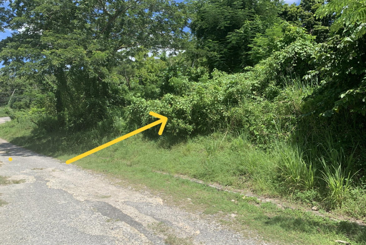 Third image of 14 Irwin Sign Po. st James in Sign, St. James, Jamaica - property is For Sale