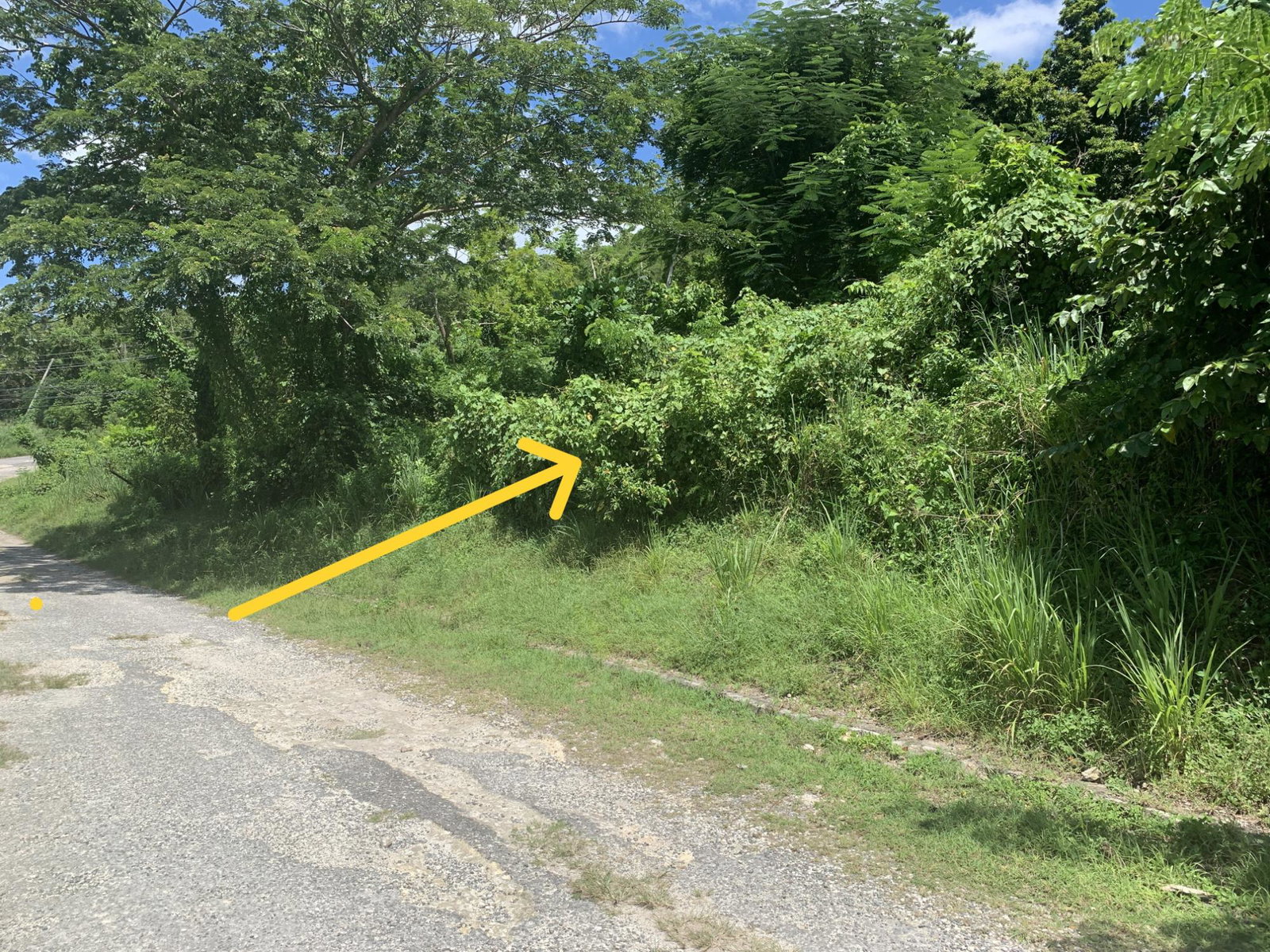 Third image of 14 Irwin Sign Po. st James in Sign, St. James, Jamaica - property is For Sale