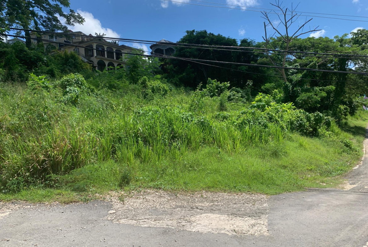Fifth image of 14 Irwin Sign Po. st James in Sign, St. James, Jamaica - property is For Sale