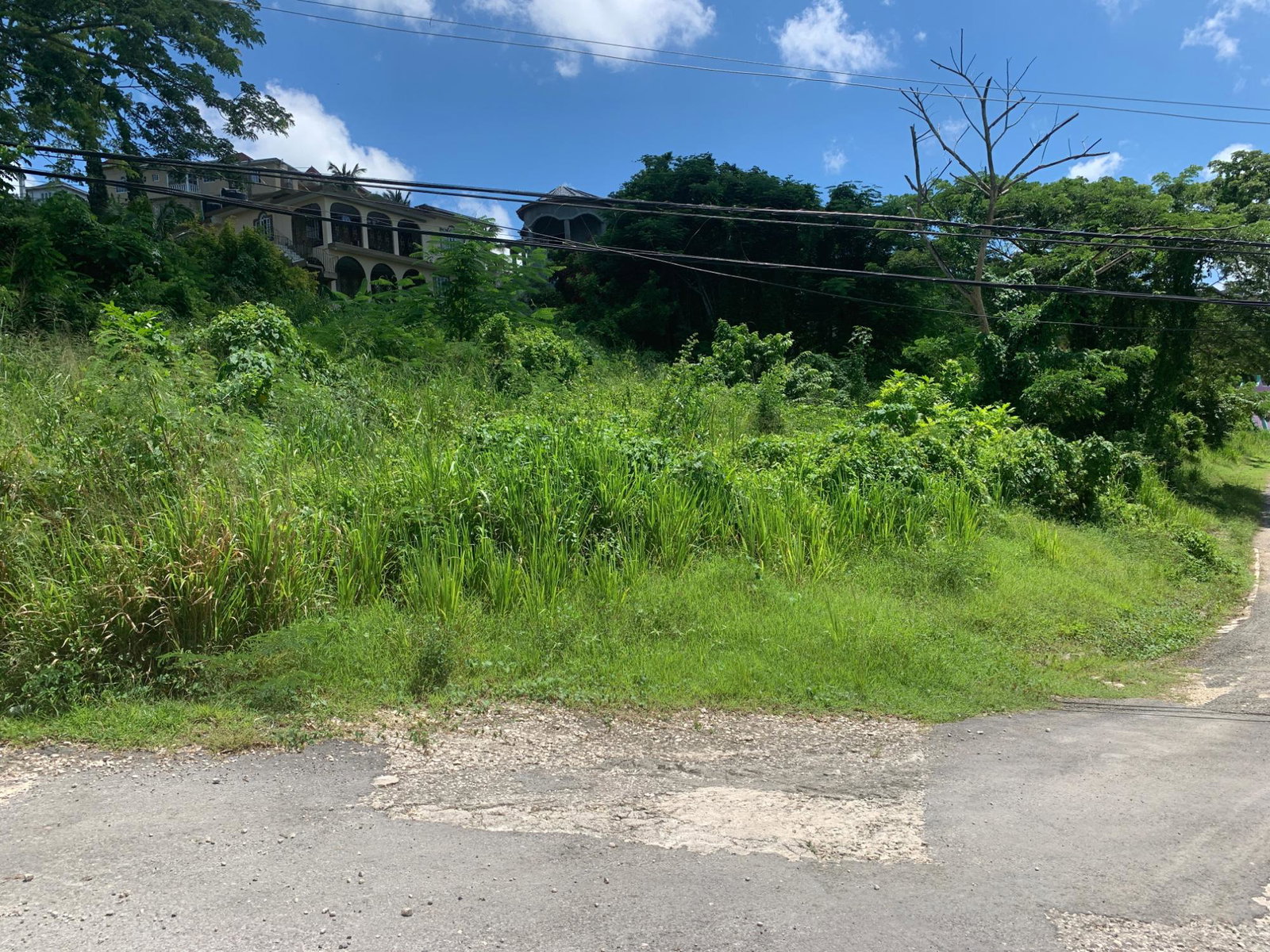 Fifth image of 14 Irwin Sign Po. st James in Sign, St. James, Jamaica - property is For Sale